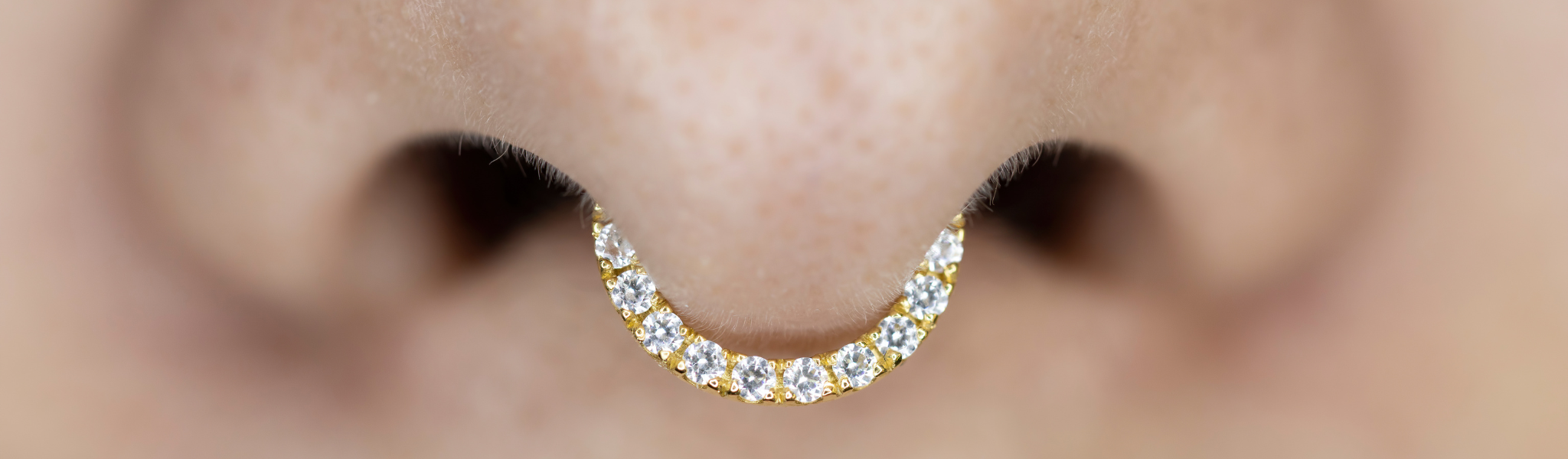 Selected for Septum