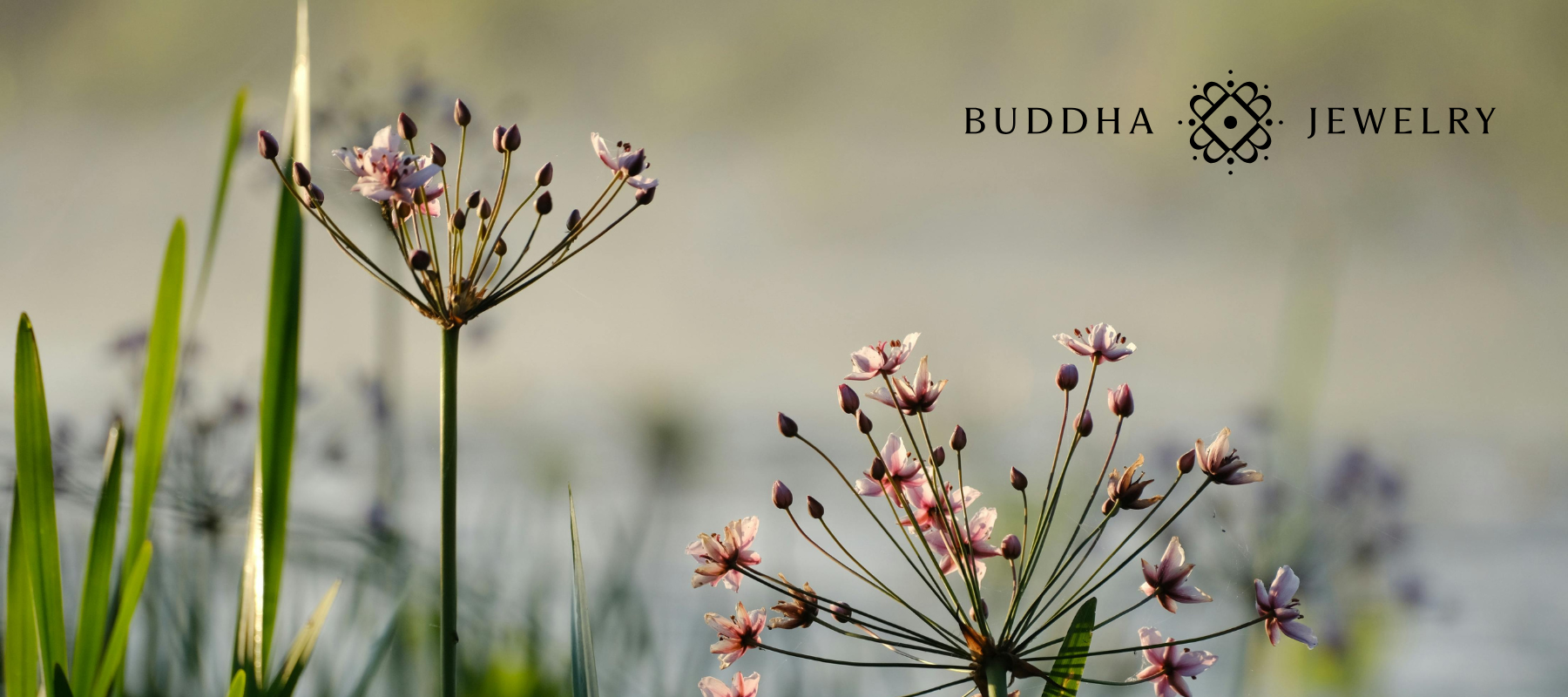 Buddha Jewelry