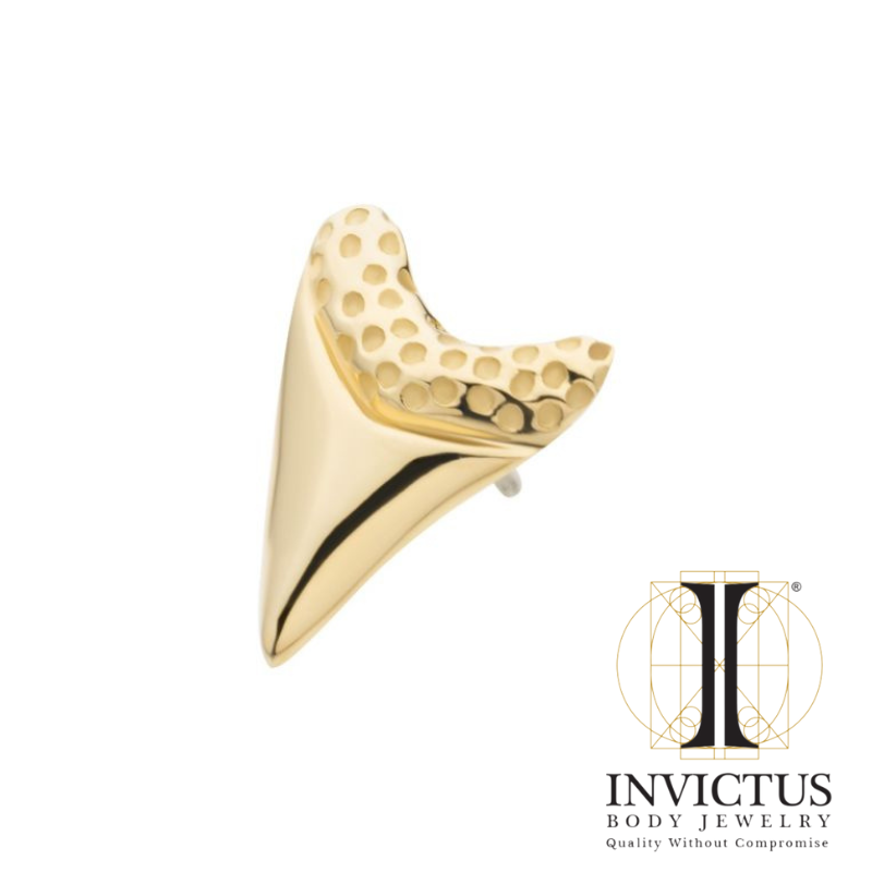 14Kt Gold Threadless Megalodon Shark Tooth Ends