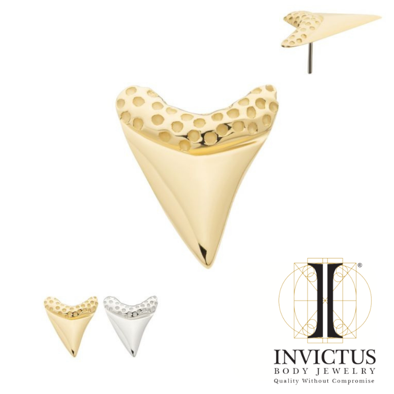 14Kt Gold Threadless Megalodon Shark Tooth Ends
