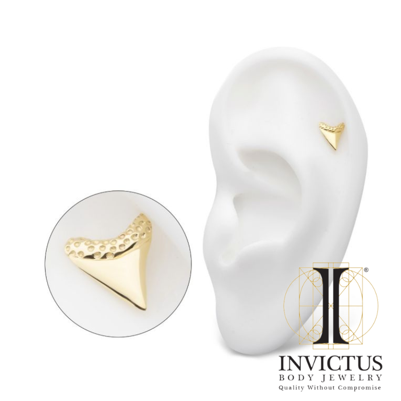 14Kt Gold Threadless Megalodon Shark Tooth Ends