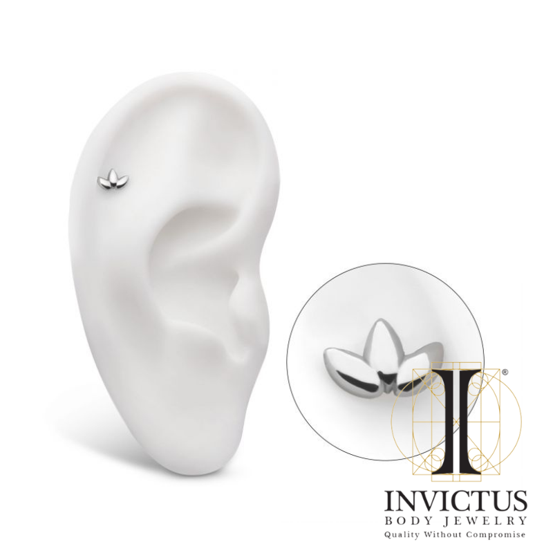 Titanium Fan Shape Petals Cluster Ends