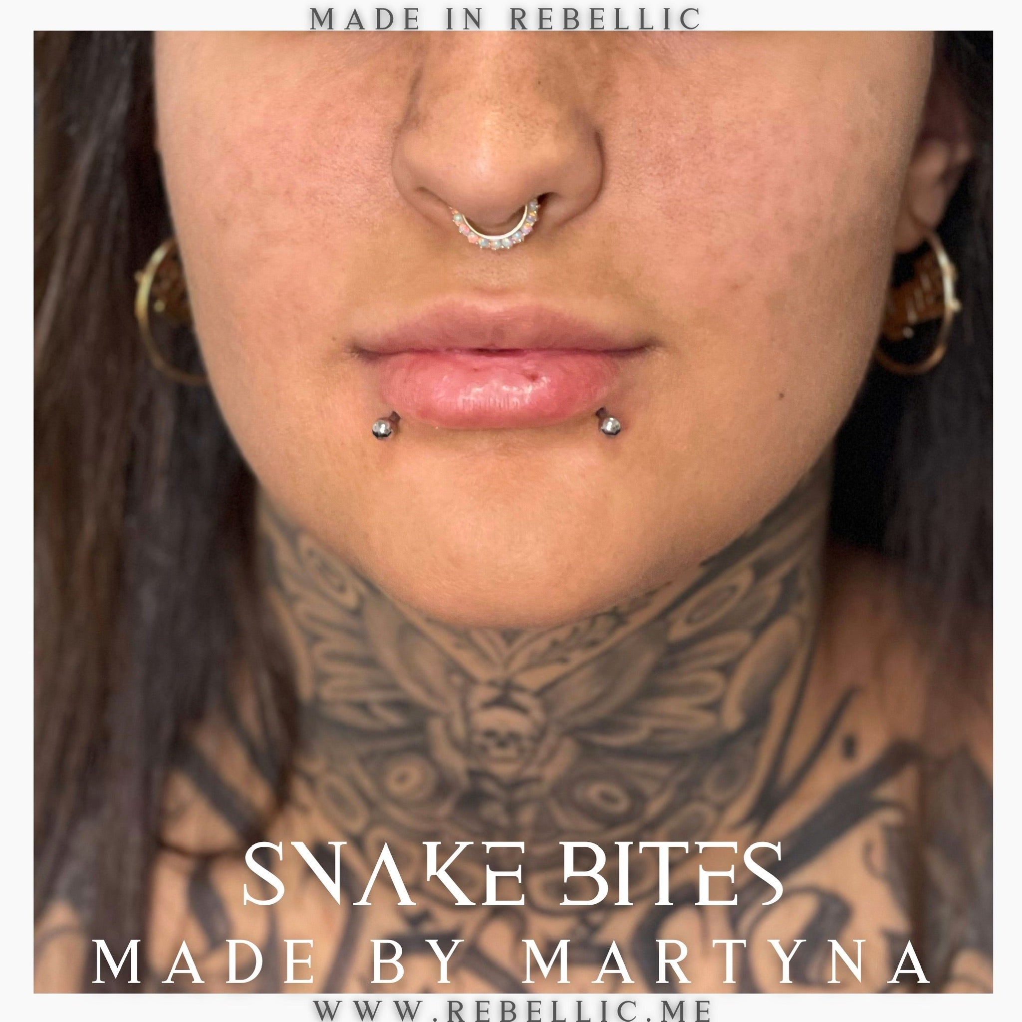 Snakebite – REBELLIC