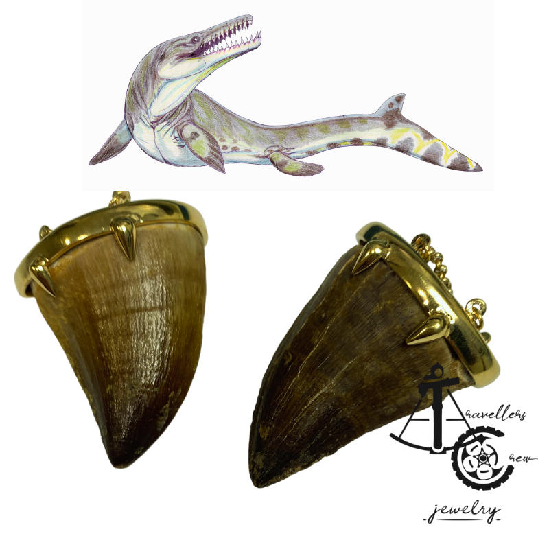 ONE et eneste par Fossil Mosasaur Tænder - Ørevægte