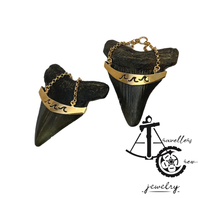 Megalodon Tooth to Hangers