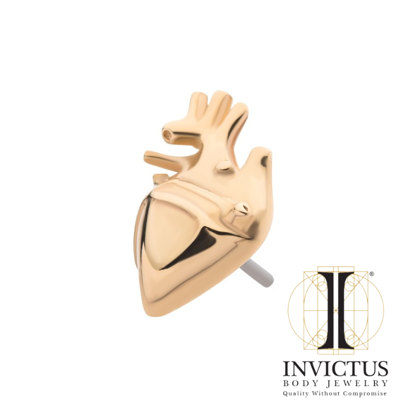 14Kt Yellow Gold Threadless Human Heart Ends
