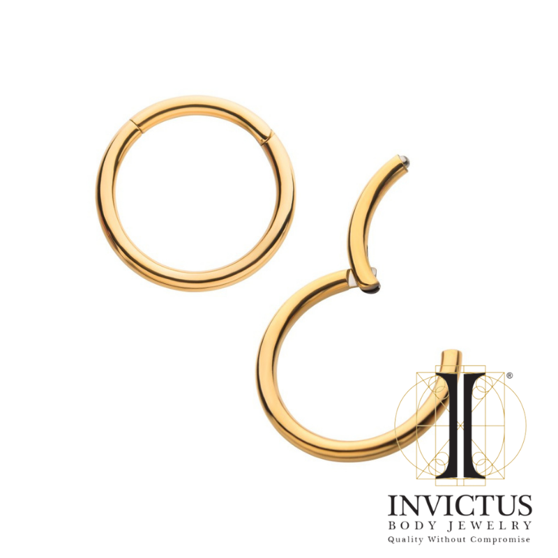 16g - 24KT Gold PVD Titanium Hinged Segment