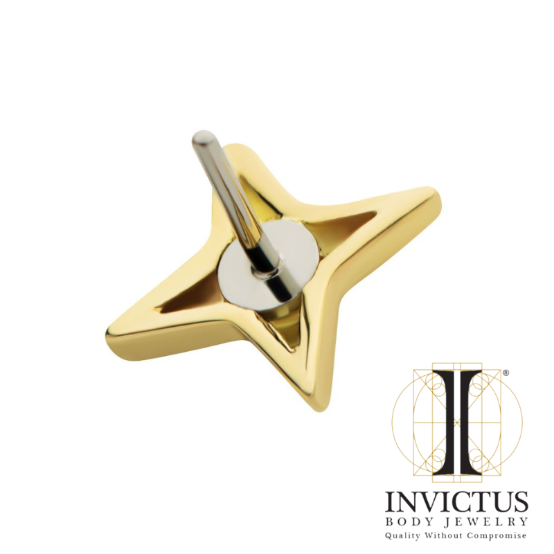 14Kt Yellow Gold Threadless Starburst with CZ Ends