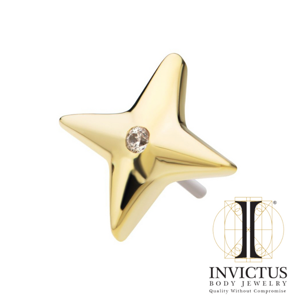 14Kt Yellow Gold Threadless Starburst with CZ Ends