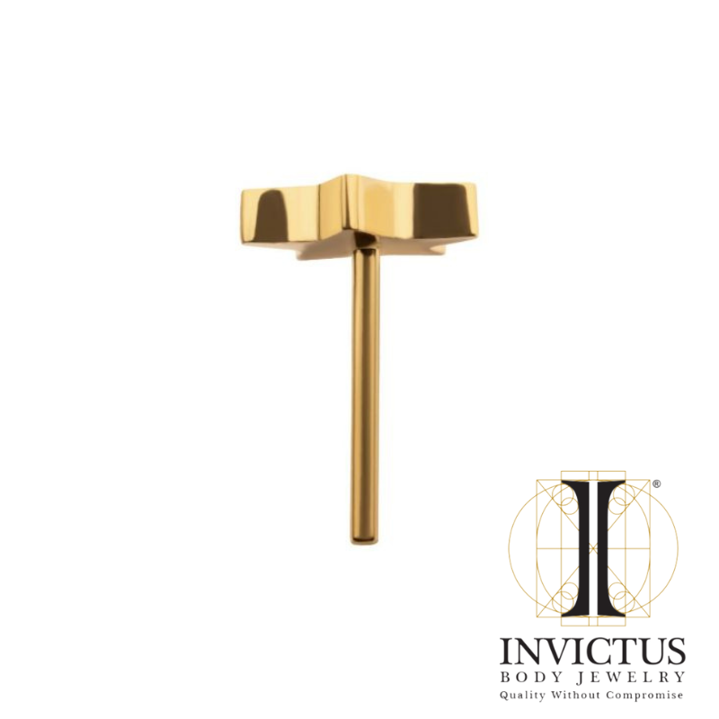 24KT Gold PVD Titanium Threadless with Star Ends