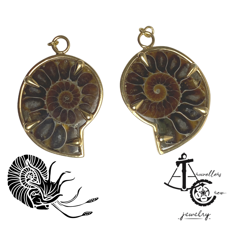 Pair of Fossil Ammonites -  Ear Weight