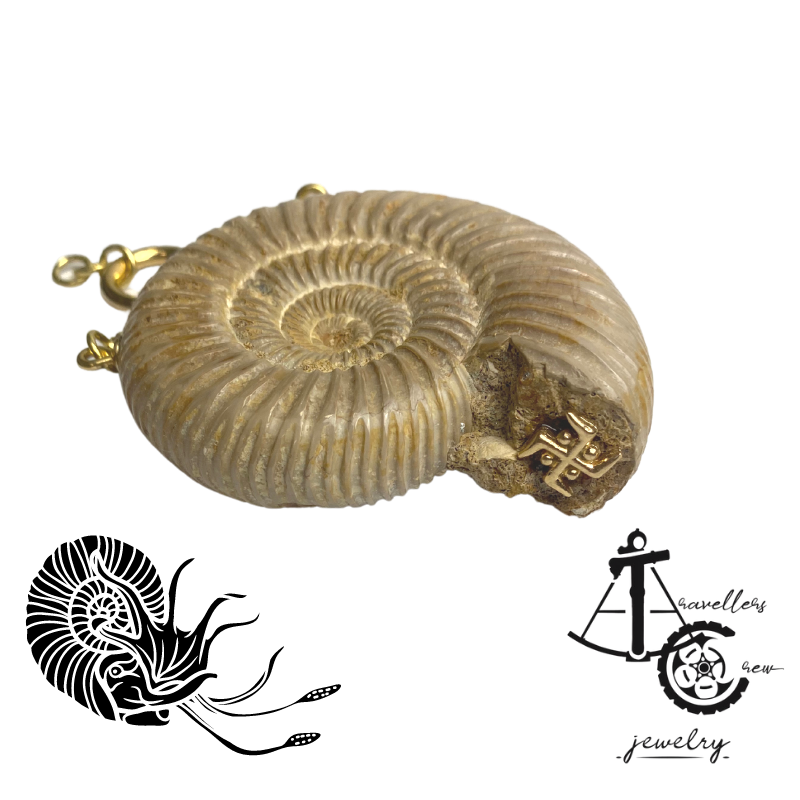 Fossile ammonitter - Ørevægt 