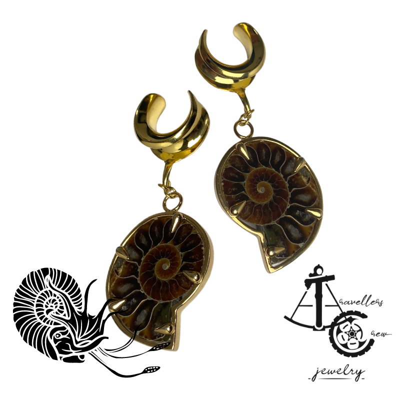 Pair of Fossil Ammonites -  Ear Weight