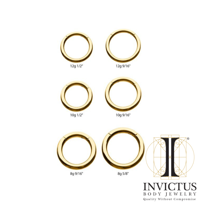 24KT Gold PVD Titanium Hinged Segment BIG GAUGE