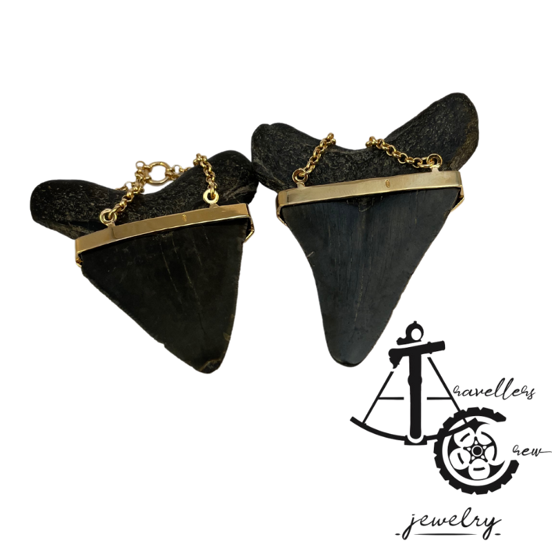 Megalodon Tooth to Hangers