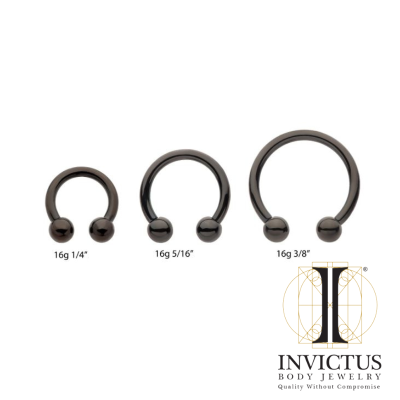 16g - Titanium Black PVD Internally Threaded Circular Barbells