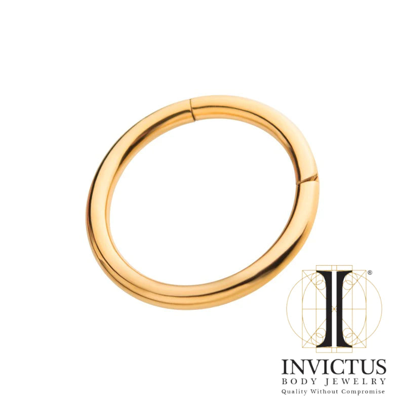 20g 24KT Gold PVD Titanium Hinged Segment
