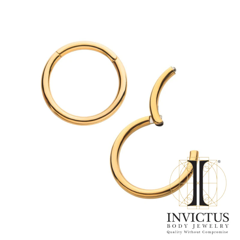 20g 24KT Gold PVD Titanium Hinged Segment
