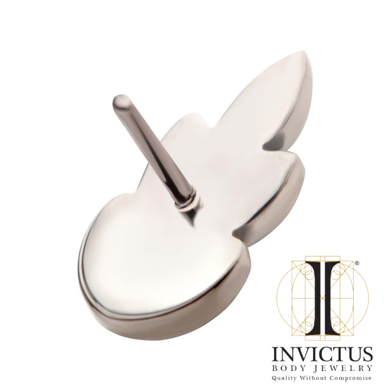 Titanium Internally Threaded & Threadless Leaf Ends